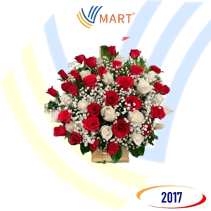Hoa Chúc Mừng 2017
